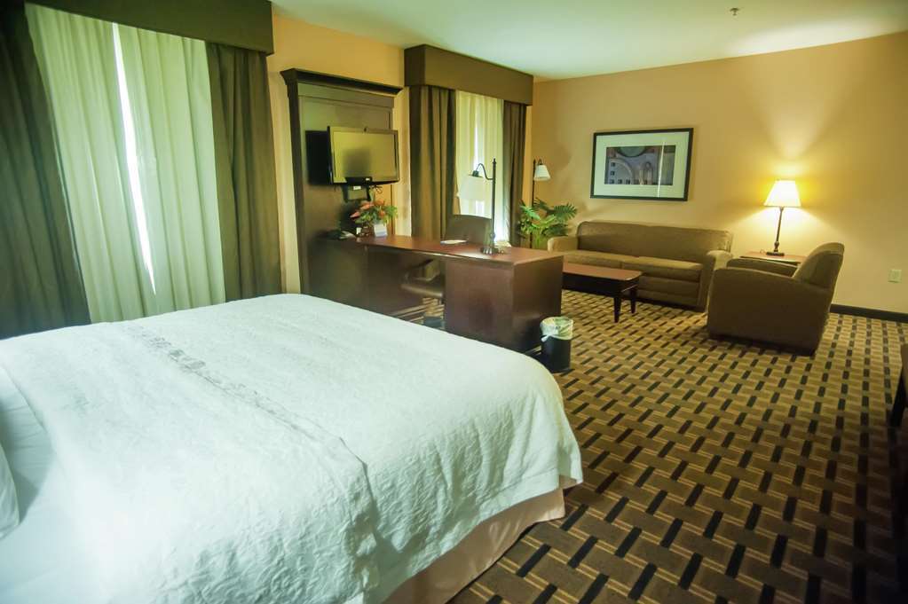 Hampton Inn & Suites Palestine Pokój zdjęcie